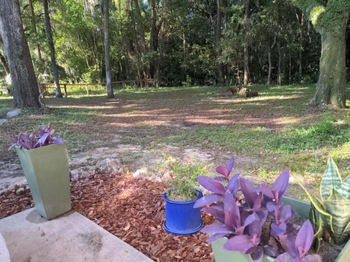 Micanopy Countyline Cottages Екстериор снимка